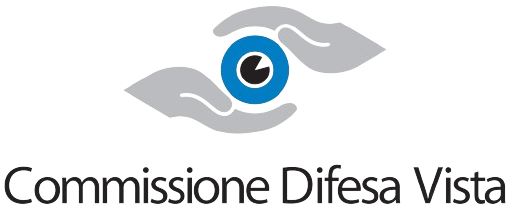 Commissione difesa vista